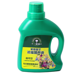 綠葉寶十大牌子排行榜