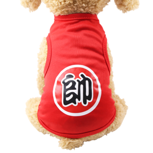 幼犬衣服十大牌子排行榜