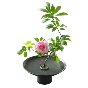 花道用品十大牌子排行榜