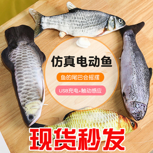 小魚玩具十大牌子排行榜