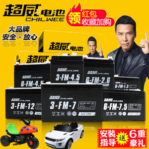 童車電瓶十大牌子排行榜