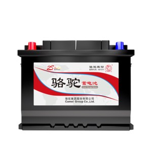 電瓶電池十大牌子排行榜