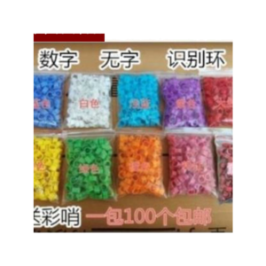 鴿環(huán)十大牌子排行榜
