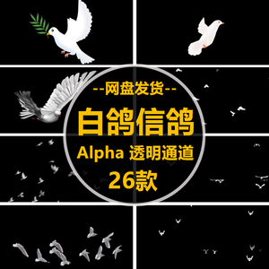 視頻后期制作十大牌子排行榜
