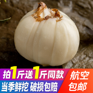 百合十大牌子排行榜