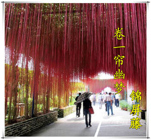 地爬墻十大牌子排行榜