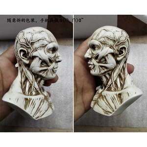 繪畫(huà)人體模型十大牌子排行榜