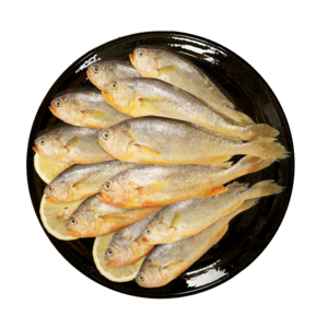 黃瓜魚十大牌子排行榜