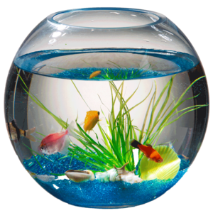 玻璃魚缸定制十大牌子排行榜