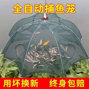 黃鱔籠子十大牌子排行榜