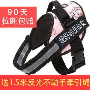 遛狗繩十大牌子排行榜